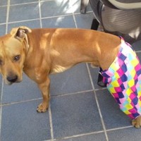 Alfonso Cano Martínez