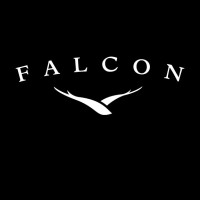 Falcon Custom Homes Brian Cotant