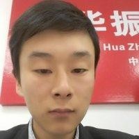 华振地
