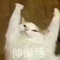 薛玲娜