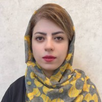 Parvin Najmi