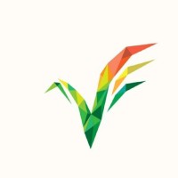 Vinyasa News