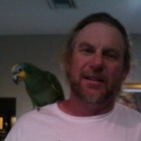 Neil Mcfarlane