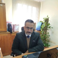 Wael El Shenawi