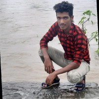 Vignesh K