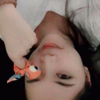 卢宝仪