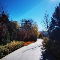 韩晓阳