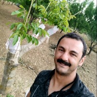 Hüseyin TEKİRDAĞ