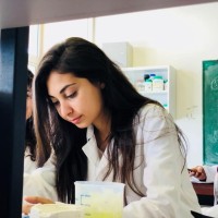 Rana Smaida