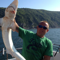 Steven Hewitson