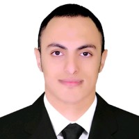 Kareem Mohamed