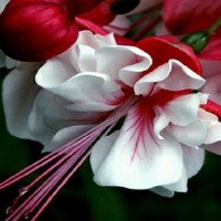 Hetal Patel