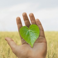 Jose eduardo García Tafalla