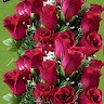 Dinesh Vankar