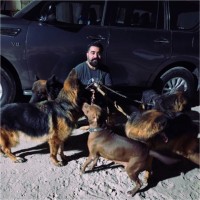 Navid Solangi