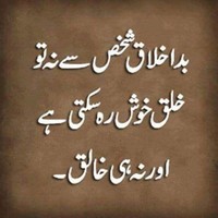 shafiq shad