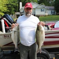 Roger Whitson