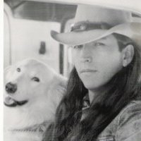 David Warren