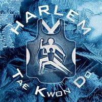 Harlem Tae Kwon Do