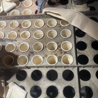 Felipe Santander Gómez