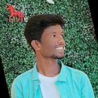 V Balakrishna
