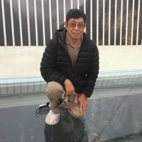 Dad Kwok