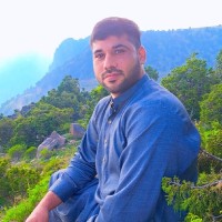 Hassan Raza