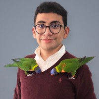 Francisco Alvarez