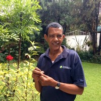 Terefe Haile