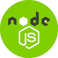 nodejs developer