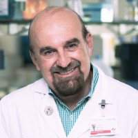 Jose M Martin-Moreno