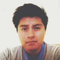 Luis Miguel Cortes Sanchez