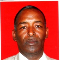 Daud Sheikh