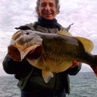 Aldo Maia