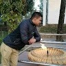 Acchut Gyawali
