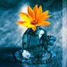 Pooja Borge