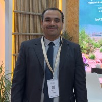 Ahmed Gomaa , Pmp ®