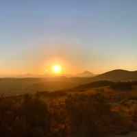 Mirela Sabanovic-Lewis