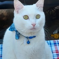 Isaac Gonzalez Lacey Rose