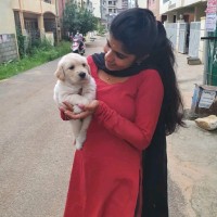 divya bharathi