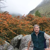 Francisco Farrás