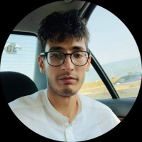 Ahmed Salmi