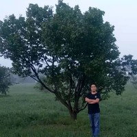 张艳明