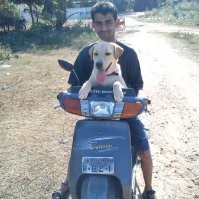Naveen Kumar