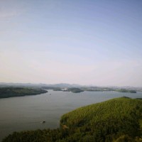 裴江涛