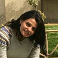 Merna Salib
