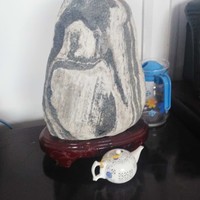 王建农