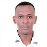 Nadir Azhari