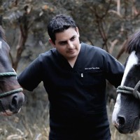 david parra