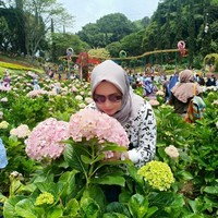 Umi Kristiaini